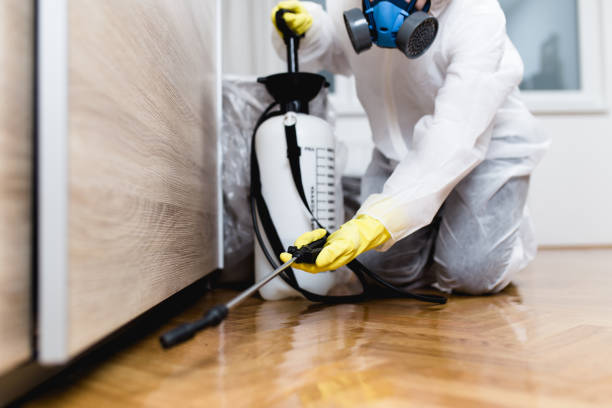 Best Cockroach Control Services  in Key West, FL