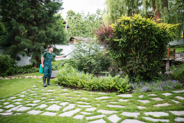 Best Commercial Pest Control Services  in Key West, FL