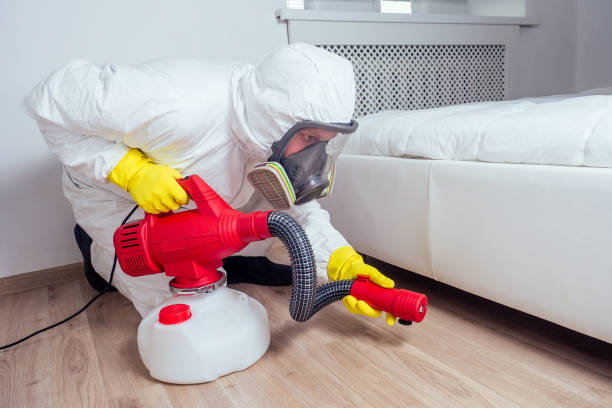 Best Emergency Pest Control  in Key West, FL
