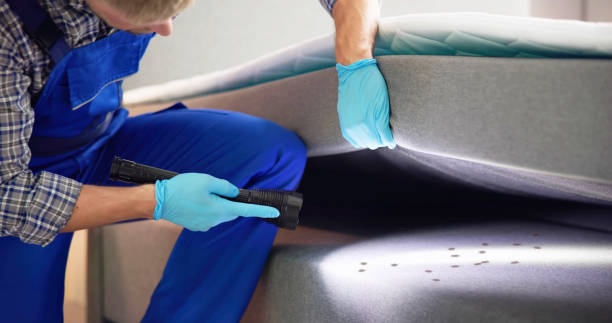 Best Pest Removal Services  in Key West, FL